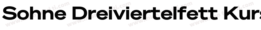 Sohne Dreiviertelfett Kursiv字体转换